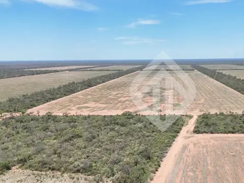 Campo en venta | 12000 has | Zona La Estrella | Salta