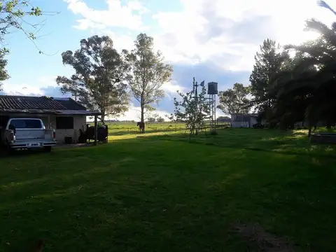 EN VENTA 60 HECTÁREAS 