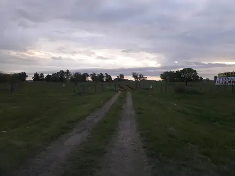 EN VENTA 60 HECTÁREAS 