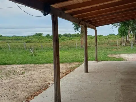 Pje San Martin 100