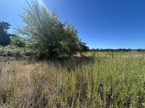 Campo en Venta de 0,40  ha