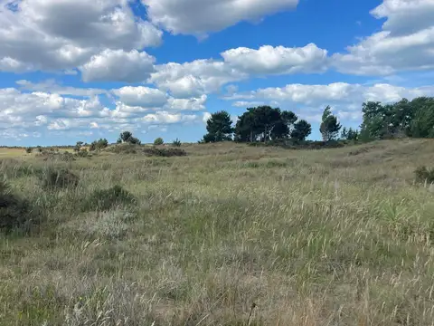 Ruta Provincial 11 km 427