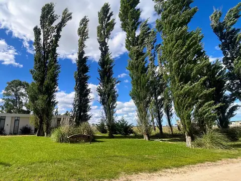 Terreno en Venta 10  mts Frente