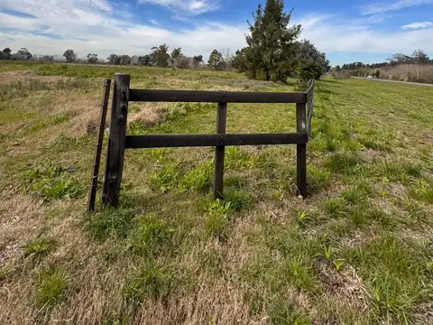 Excelente CAMPO 9 Has. RUTA 192 Capilla - Robles, AGROPECUARIO 200Mts de FRENTE A RUTA