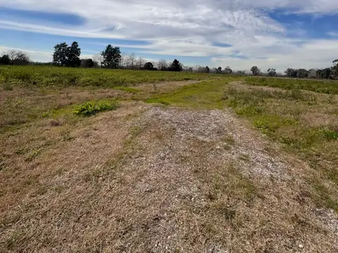 Campo en Venta Mixto