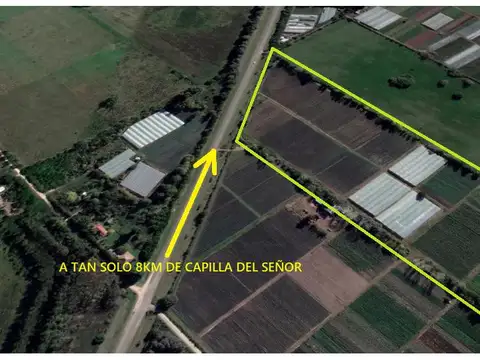 Exaltacion De La Cruz