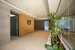 Curapaligüe 500