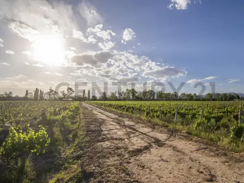 RUTA 15 KM 34