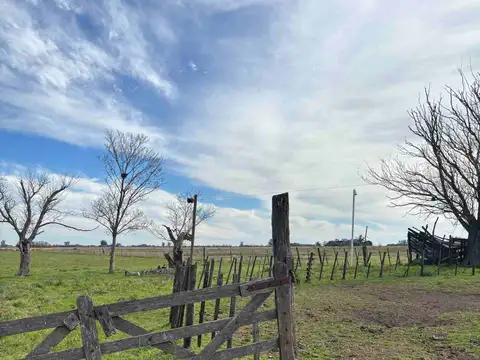 Ruta Nacional 9 100
