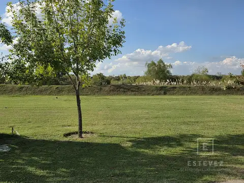 El Naudir, lote orientación norte