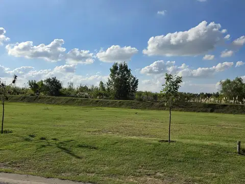 Terreno en Venta 39  mts Fondo