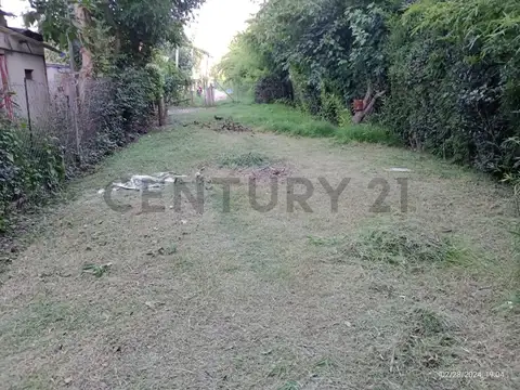 31 458 Y 459 , Piso 0