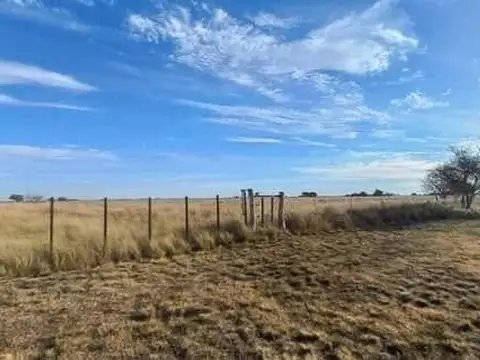 Campo en Venta Ganadero