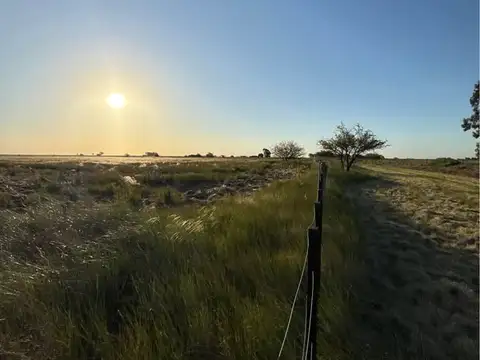 Campo en Venta Ganadero