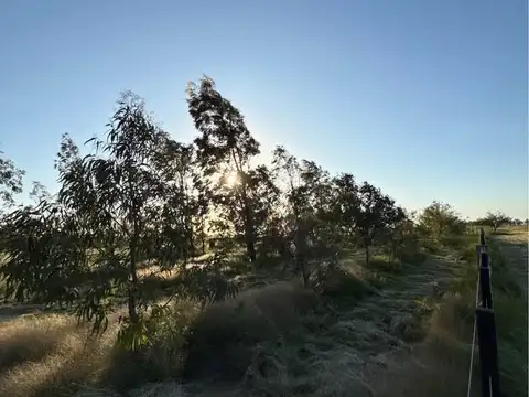 Campo en Venta de 7  ha