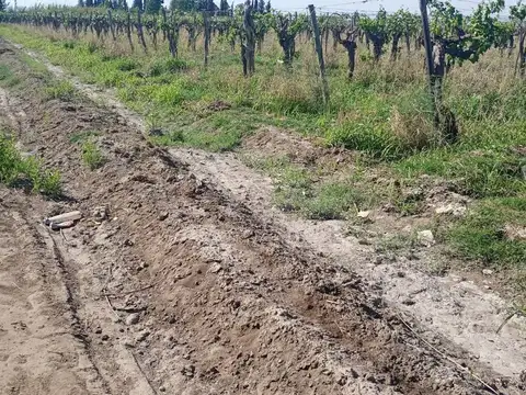 Terreno en Venta de 284000,0 m2