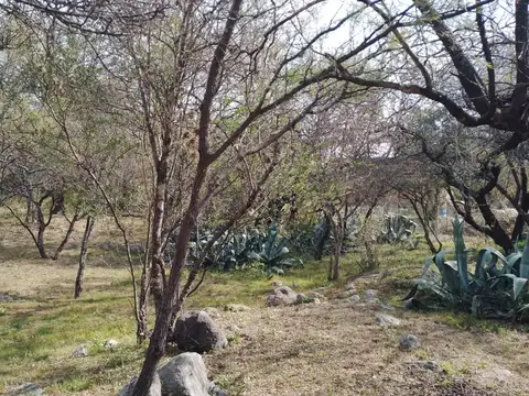 VENTA DE LOTE EN LOMA BOLA