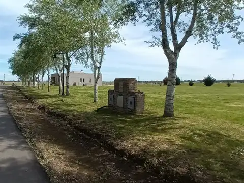 Terreno en Venta de 1055,0 m2