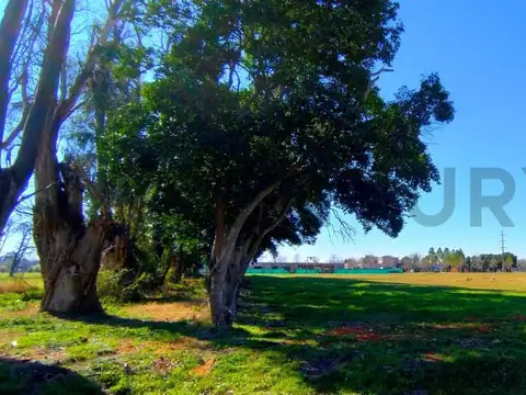 Venta Excelente Lote Interno  La Asunción Club de Campo Lujan