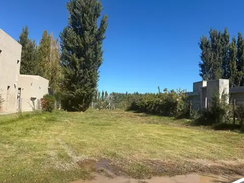 Séptimio Romagnoli 400
