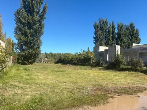 Séptimio Romagnoli 400