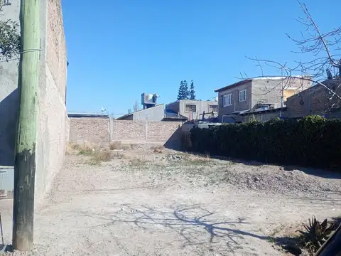 Los Lirios