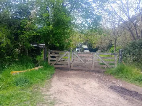 Quinta de 5 hectáreas con casa y mejoras productivas