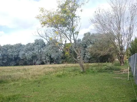 Terreno en Venta 79  mts Fondo