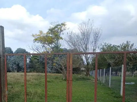 Barrio Los Sauces - Paraje Camino Viejo