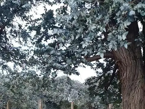 Terreno en Venta de 3081,0 m2