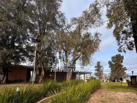 Santa Elena 100