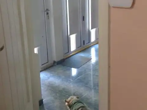 Depto Tipo Casa 5 ambientes con 2 baños