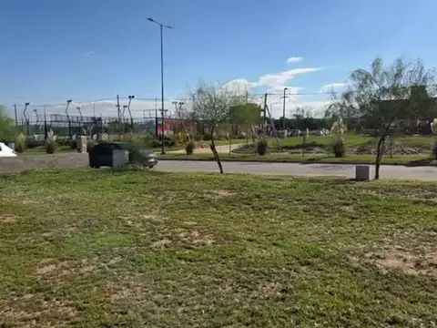 docta