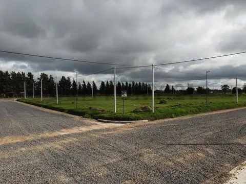 510 Y 167 DON BASILIO LOTE EN GORINA EN VENTA