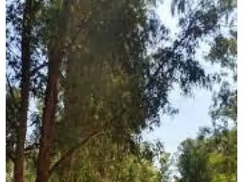 Lote Puerto Paraíso