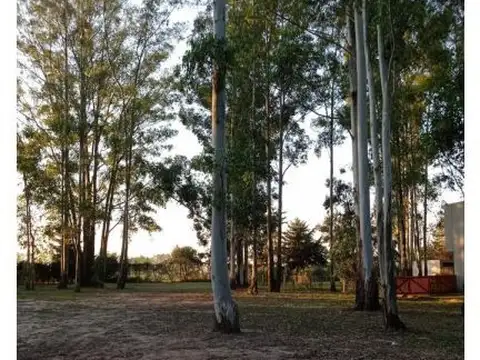 Terreno en Venta 36  mts Fondo