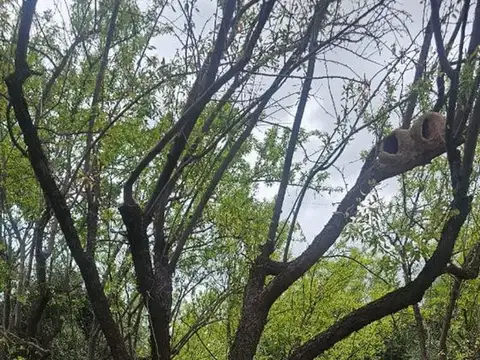 Terreno en Venta en Zona Industrial, Maipú