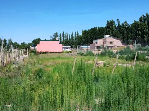 Lote en venta en loteo Don Pater de la ciudad de Centenario  oportunidad 