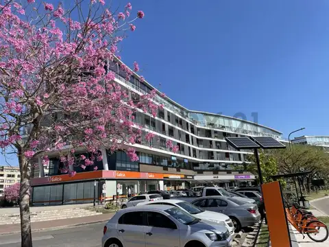 Calle del caminante 100, Piso 1