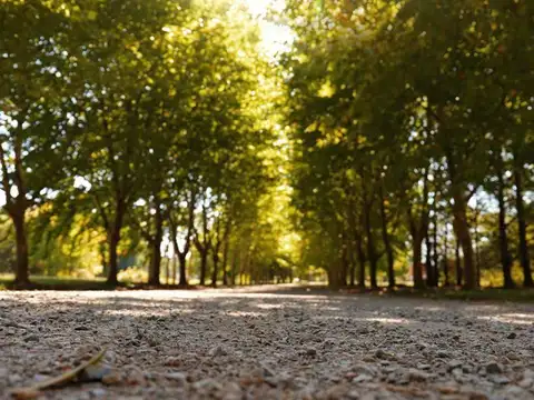 Estancia Villa Maria, Silos