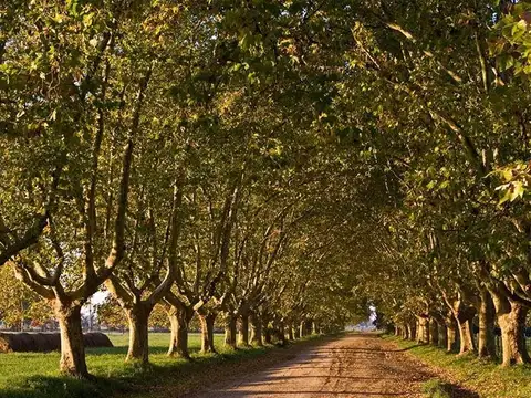 Estancia Villa Maria, Silos