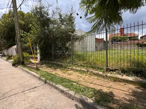 AVIADOR FICARELLI AL 2600