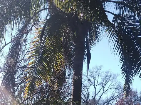 Terreno en Venta de 1050,0 m2