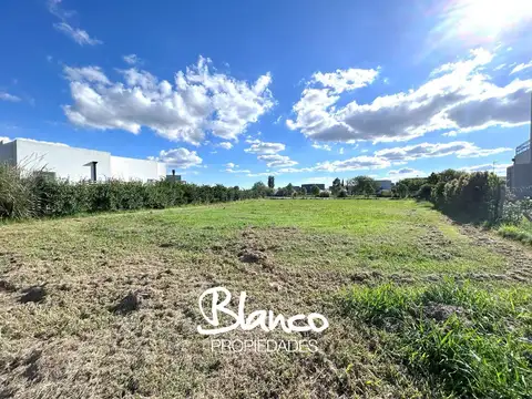 El Cantón - Puerto 300