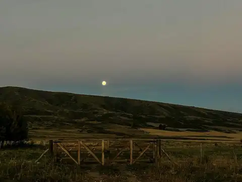 Espectacular Campo en venta en La Carrera Tupungato - Emprendimiento Turístico