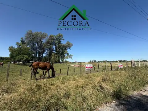 Terreno en Venta 20  mts Frente