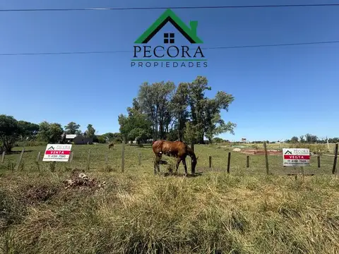 Terreno en Venta 36  mts Fondo