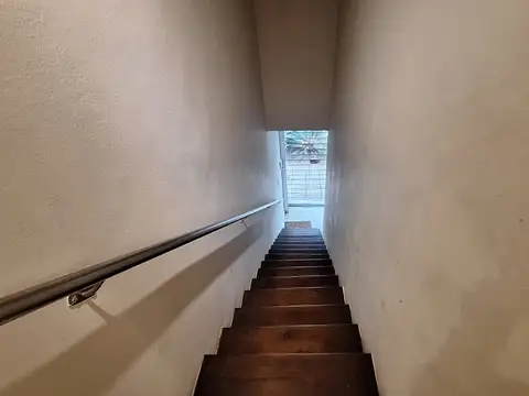 León Zorilla 399
