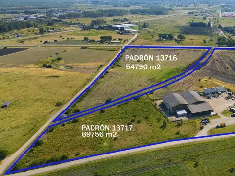 VENTA CAMPO Y GALPONES INDUSTRIALES EN DURAZNO