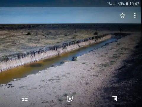 Campo en Venta de 900  ha